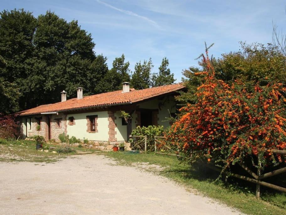 Los Acebos De Pena Cabarga, Junto Al Parque De Cabarceno Leilighet Sobremazas Eksteriør bilde